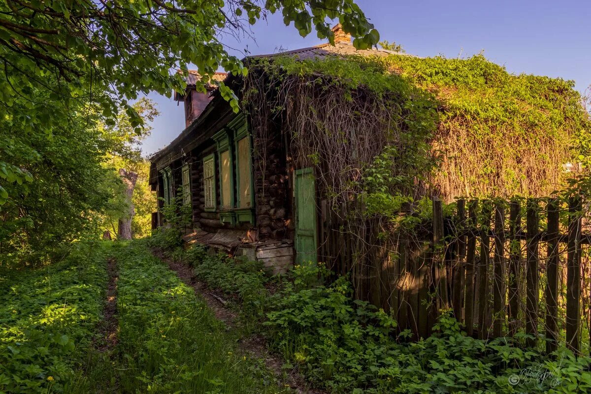 разваленный дом. старый домик в лесу. деревня церковище. старые дома. я здесь старый дом.