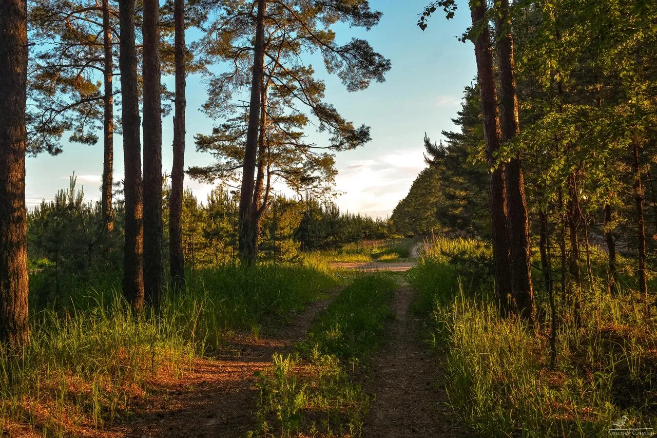 санаторий сосновый бор рязанская область солотча. сосновый бор рязань открытие 2023. реабилитационный центр сосновый бор рязань. солотча санаторий сосновый бор. санаторий сосновый бор рязань.