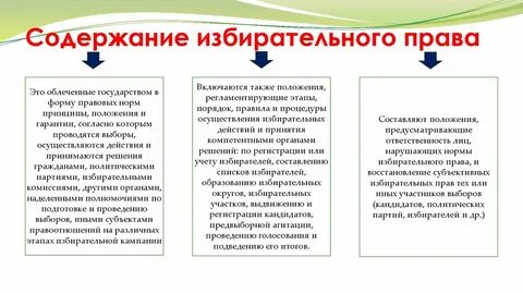 Избирательное право избирательная кампания