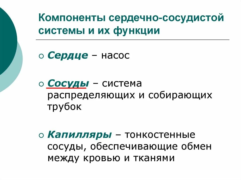 Функции сосудистой системы. Функции сердечно-сосудистой системы. Перечислите основные функции сердечно-сосудистой системы. Сердечно сосудимтаясистема функции. Основные функции кровообращения