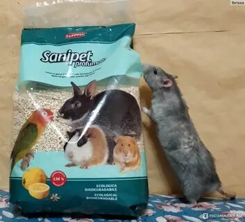 Наполнитель для крыс