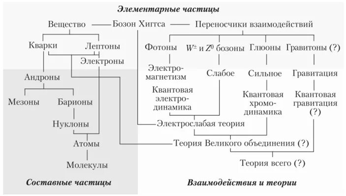 Стандартная модель элементарных частиц схема. Классификация элементарных частиц схема. Классификация элементарных частиц и их взаимодействия. Схема всех элементарных частиц. Форма элементарных частиц