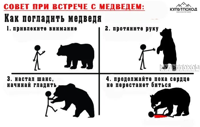 Что делают при встрече. Медведь инструкция. как побороть медведя прикол. инструкция по встрече с медведем юмор. шутка про медведя и колокольчик.