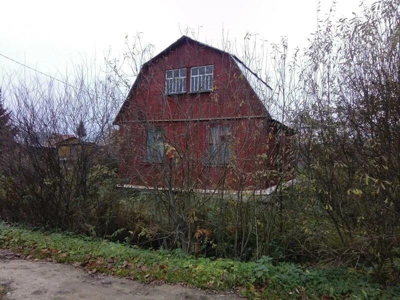 участок снт химик. дача снт химик. участок снт химик. клязьминское снт павловский посад. снт химик 2.