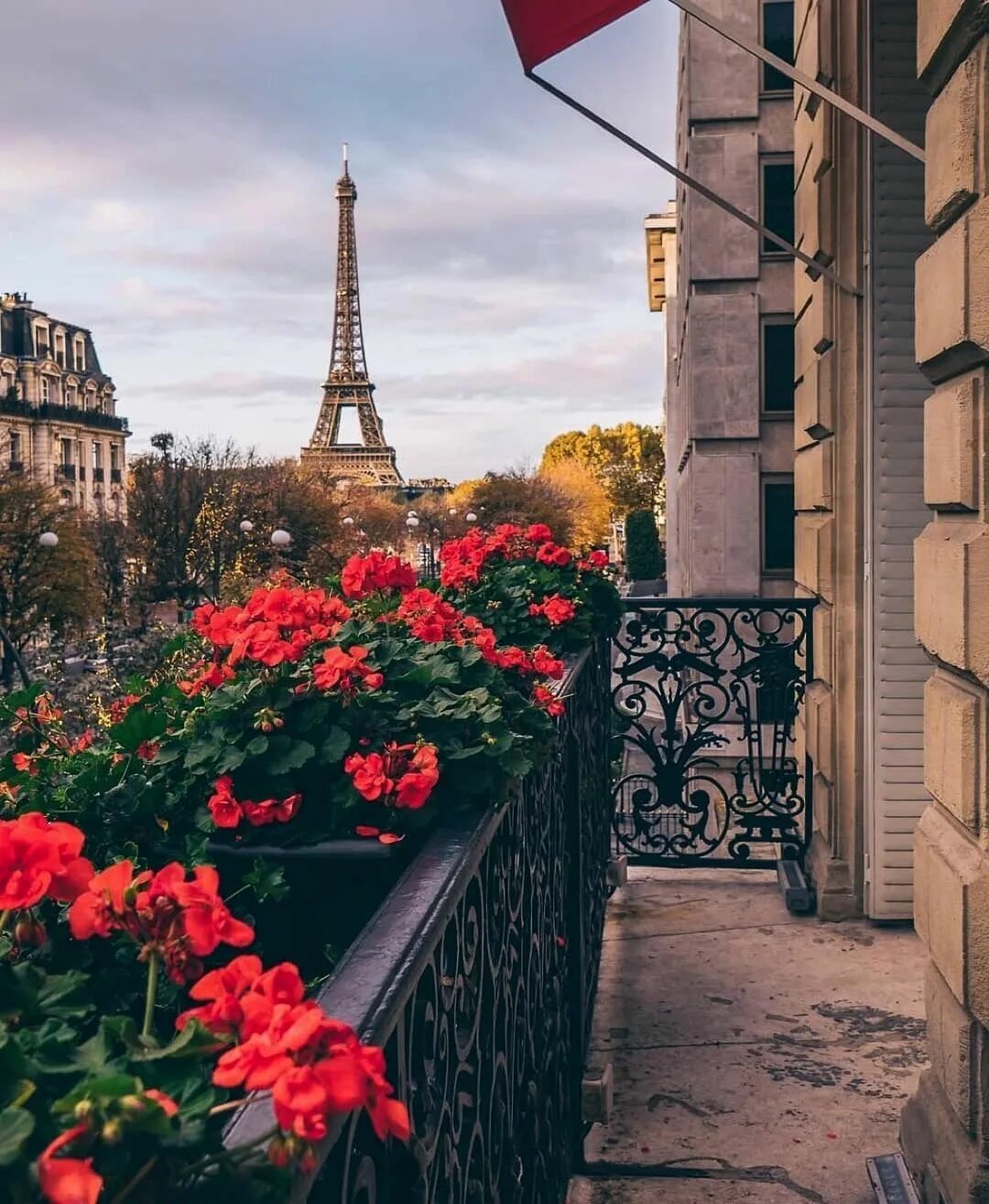 Старейшее кафе парижа le procope. Le baudelaire париж ресторан. Париж улочка эйфелева башня. Софитель отель париж стросс кан. Le paris.