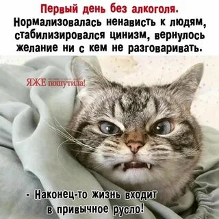 Ненавижу понедельник