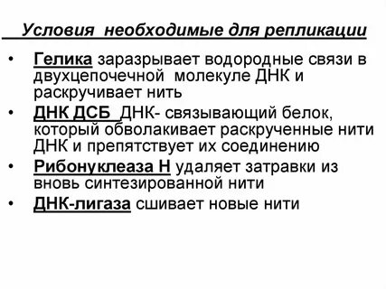 Днк связывающие белки функция