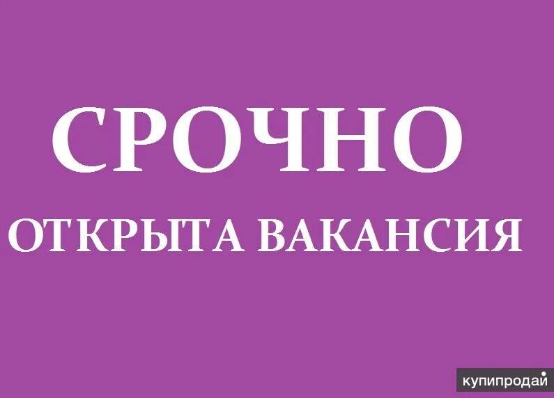 555 вакансия. Ne555 внутренняя схема. 555 вакансия. 555 вакансия. 555 симферополь вакансия.
