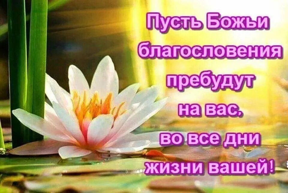 Открытки с божьим благословением. Доброго дня и божьего благословения. Открытки с пожеланиями божьих благословений. Открытки божьих благословений новые. Благословений в новом дне.