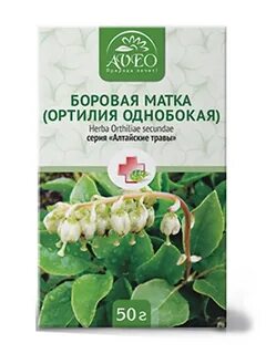 Матка 50