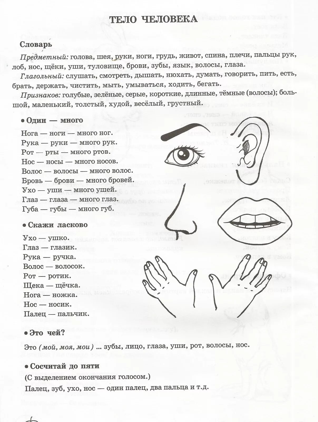 Пальцами по губам текст. Логопедическое задание по теме тело человека. Лексическая тема "части тела и лица" для дошкольников с рас. Части тела человека задания для детей. Задания для детей по теме тело человека.