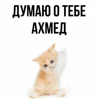 Ахмед какое имя