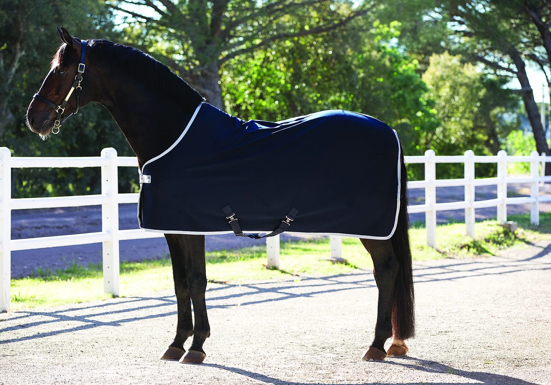 Попона для лошади. Наряд для лошади. Horse wear. Horse wear. Аът шывыы.