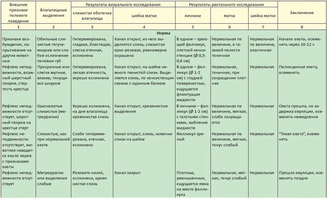 Через сколько приходит в охоту