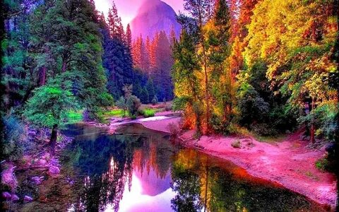 M nature
