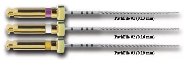 Инструменты для ковровой дорожки в эндодонтии. Sani файлы для распломбировки машинные. Path файлы. Программа винзип. Path файлы.