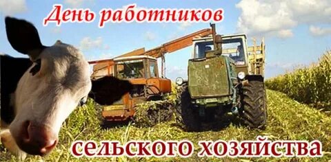 День сельхоз хозяйства