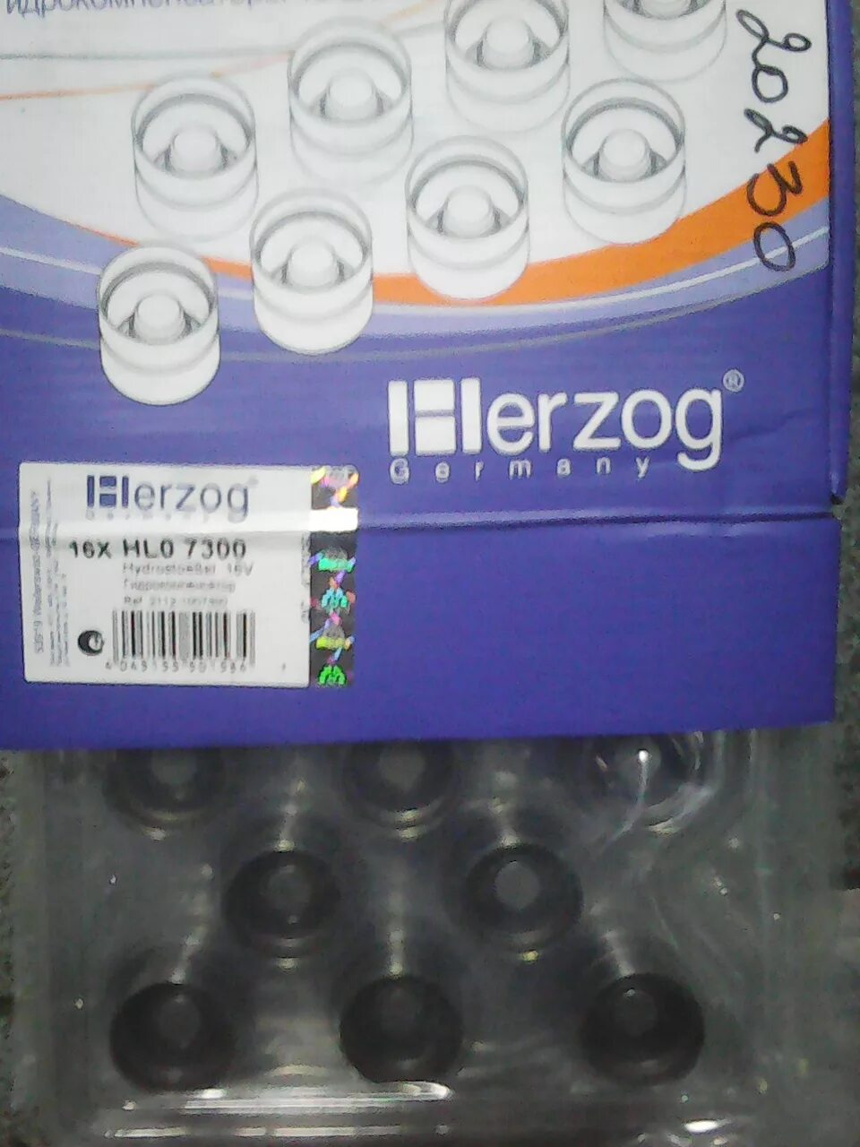 Herzog