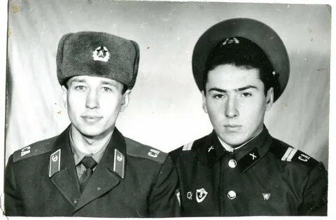 Борзя голубая