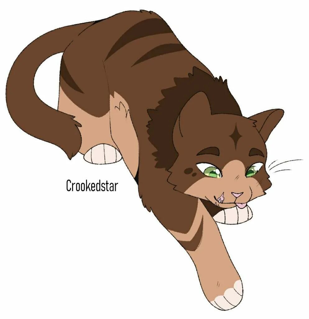 Котом метеор. Crookedstar коты воители. коты воители метеор. коты воители криворот. метеор коты воители вики.