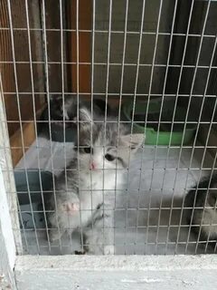 Право на жизнь котлас