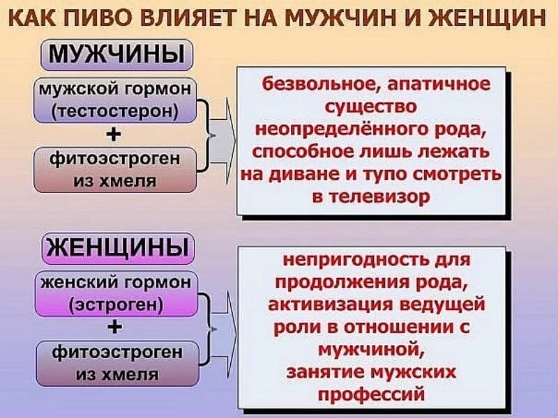 Почему пиво вредно. Как пиво влияет на организм женщины. Как пиво влияет на женщин. Как влияет пиво на мужчин и женщин.