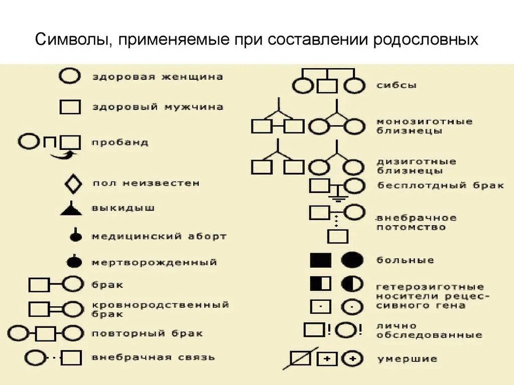 Символы генетики 10 класс. Генеалогический метод генетики родословная. Клинико-генеалогический метод принципы родословных. Генеалогический метод родословная схема. Родословные генетика схемы задачи по генетике.