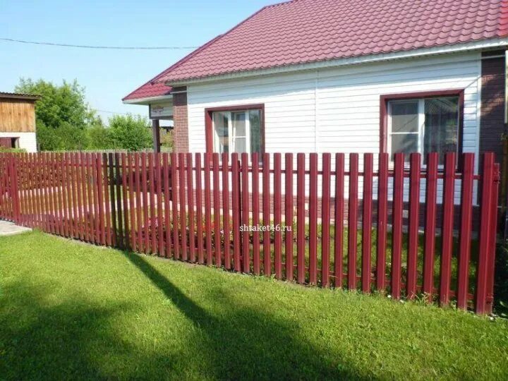 палисадник из металлического штакетника. палисадник из евроштакетника. палисадники из евроштакетника. палисадники из евроштакетника. штакетник металлический для палисадника.