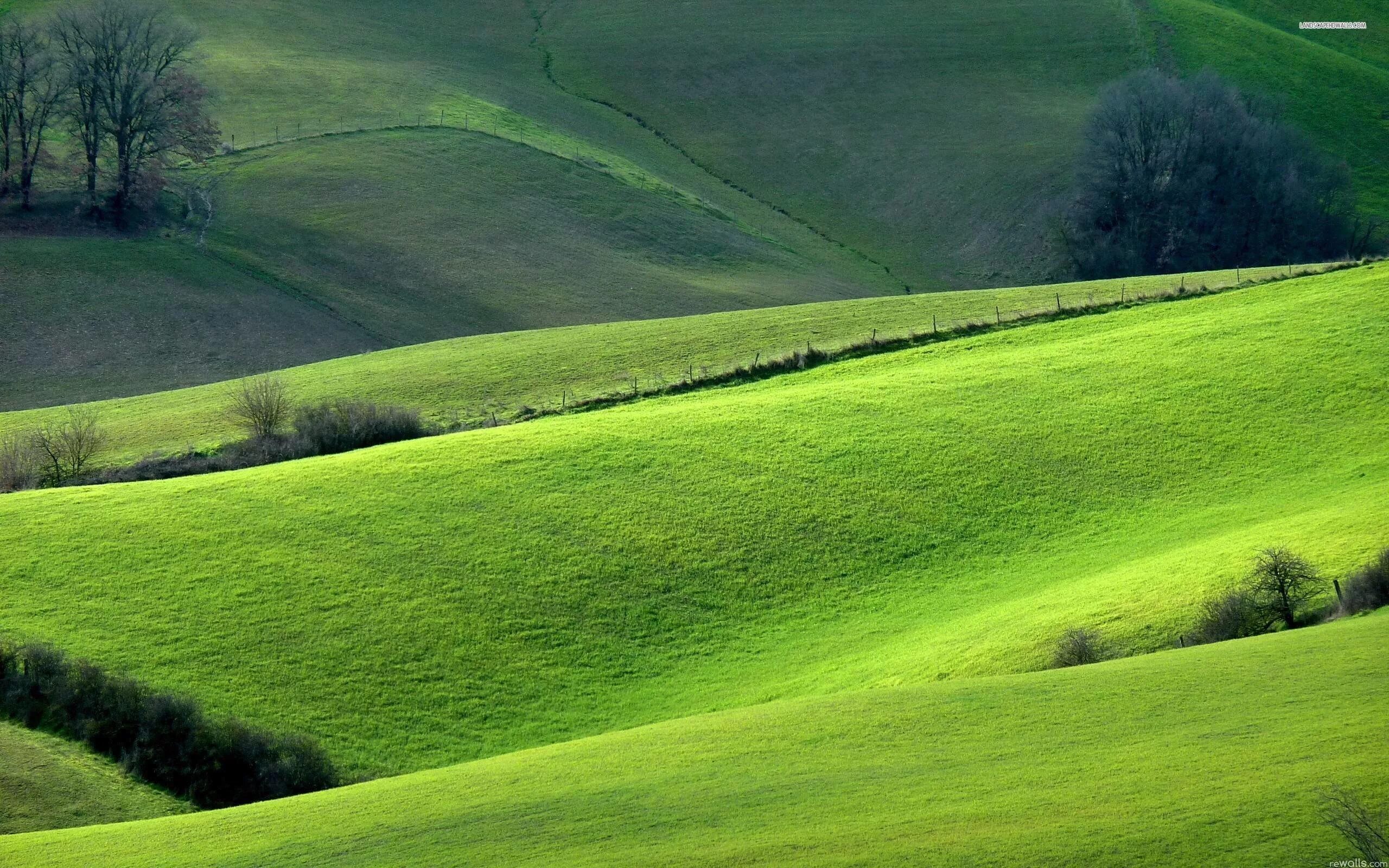 Бесконечные холмы. Green Hills зеленые холмы Ирландии. Зеленые холмы 212525. Зелёные холмы (Inverness Green). Зеленые холмы Алтай.