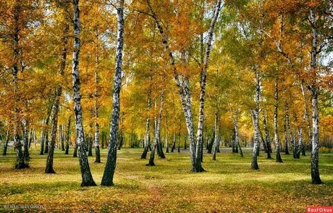 Октября омск время