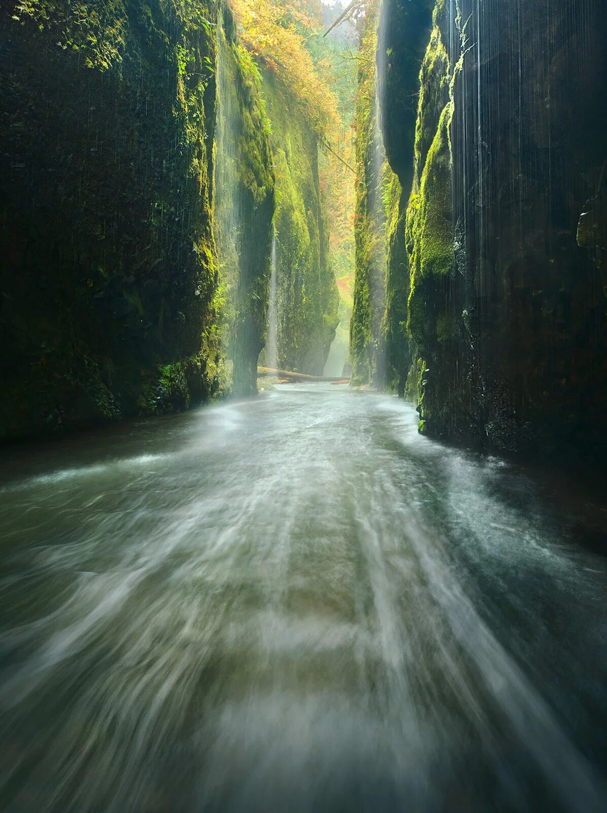 Райская дорога. Ущелье Онеонта Орегон. Ущелье в дождь арт. Photo 2010 Rain. G rain