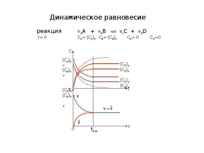 Динамические реакции. Термодинамическое равновесие презентация. продольно-динамические реакции. модуль динамической реакции. разница в термодинамическом и динамическом равновесии.