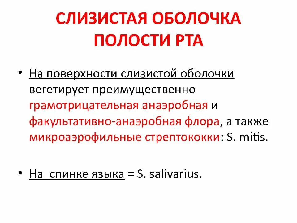 Микрофлора слизистых оболочек. Микрофлора слизистой оболочки рта. микроорганизмы слизистой оболочки полости рта. основные биотипы полости рта.