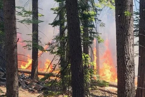 Плотный приблизиться
