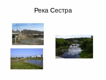 Где протекает река сестра