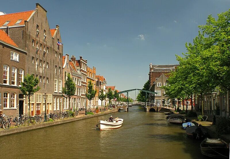 Die leiden