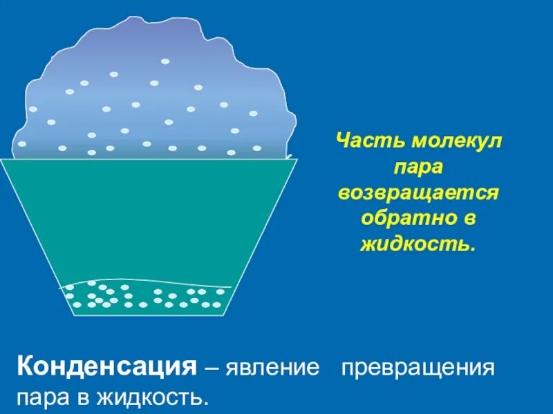 Как пар превращается в жидкую воду. Как пар превращается в жидкую воду