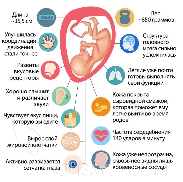 27 недель что происходит с малышом