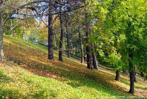 Соборная горка череповец
