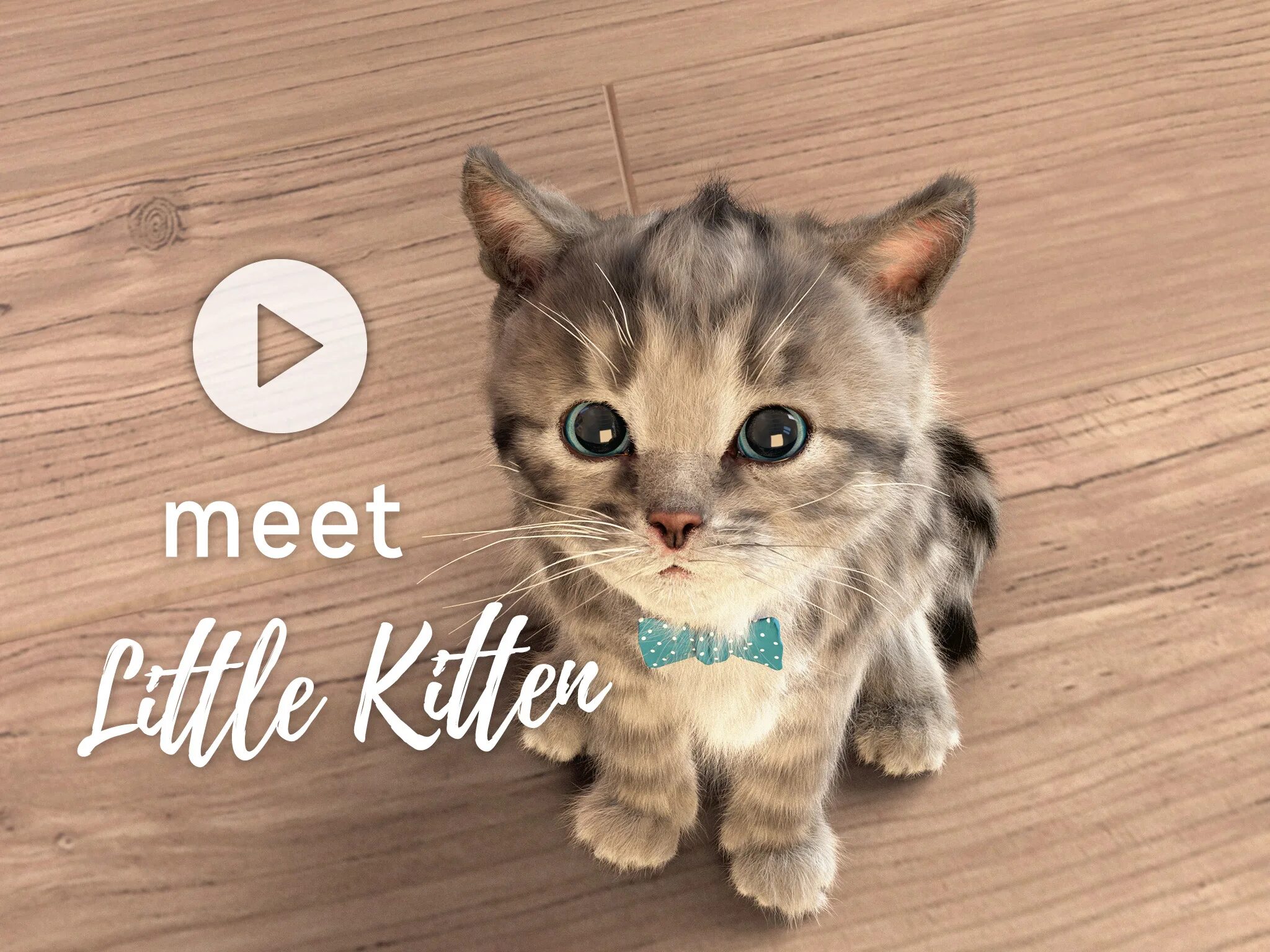 Met cat. Литтл Киттен. Мой маленький котенок. Little Kitten-маленький котенок. Little Kitten игра.