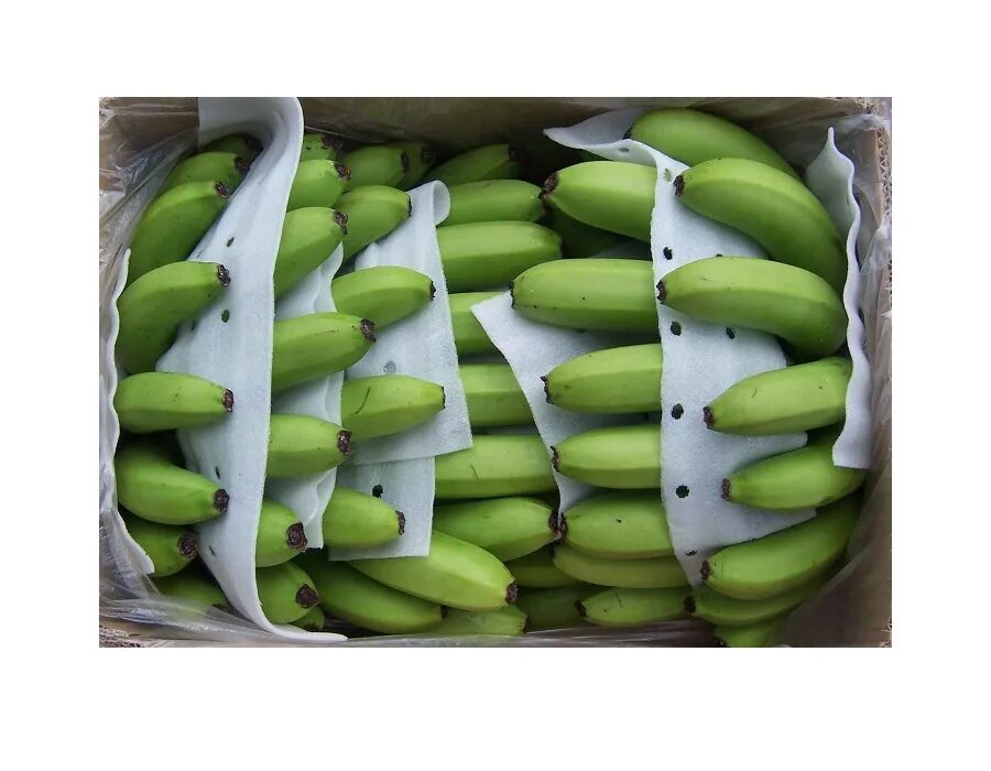 Банан Грин экспресс. Банановая база. Чертик банан салатовый. Импортеры бананов в РБ.