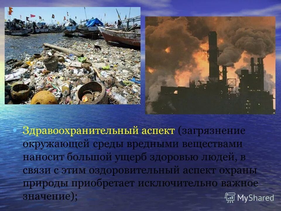 экономическая оценка ущерба от загрязнения окружающей среды. окружающая среда загрязнение. экономический ущерб окружающей среде. ущерб от загрязнения окружающей среды. экология мусор.