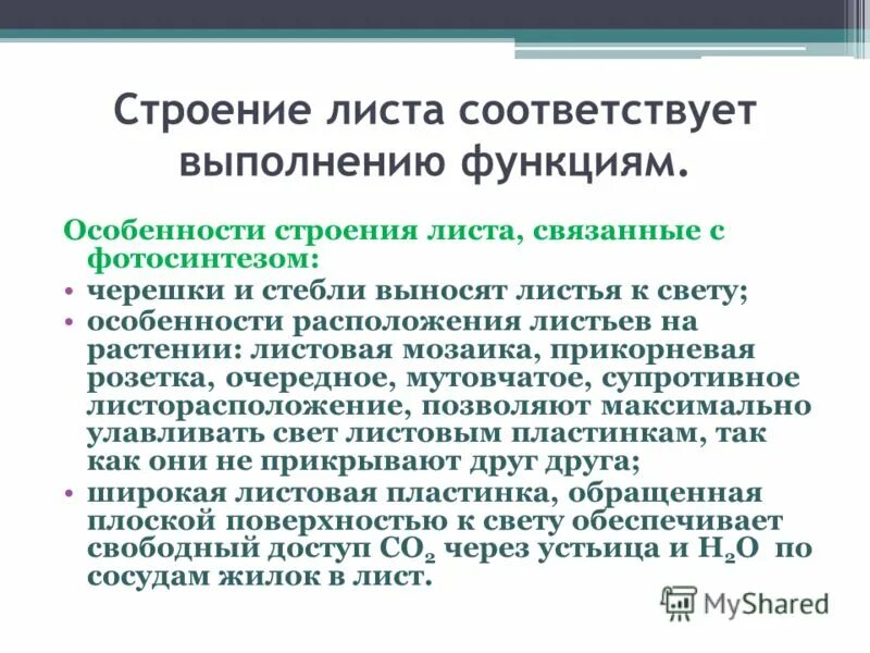 Форма листовой пластинки листа сирени. Строение листа черешок и листовая пластинка. Схема строения листа. Внешнее строение листа черешковые сидячие. Типы жилкования листовой пластинки листовой.