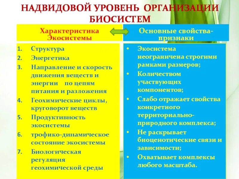 Надвидовые уровни организации. Гадвидовый уровень организации. Надвидовые уровни организации жизни. Уровни организации биосистем.