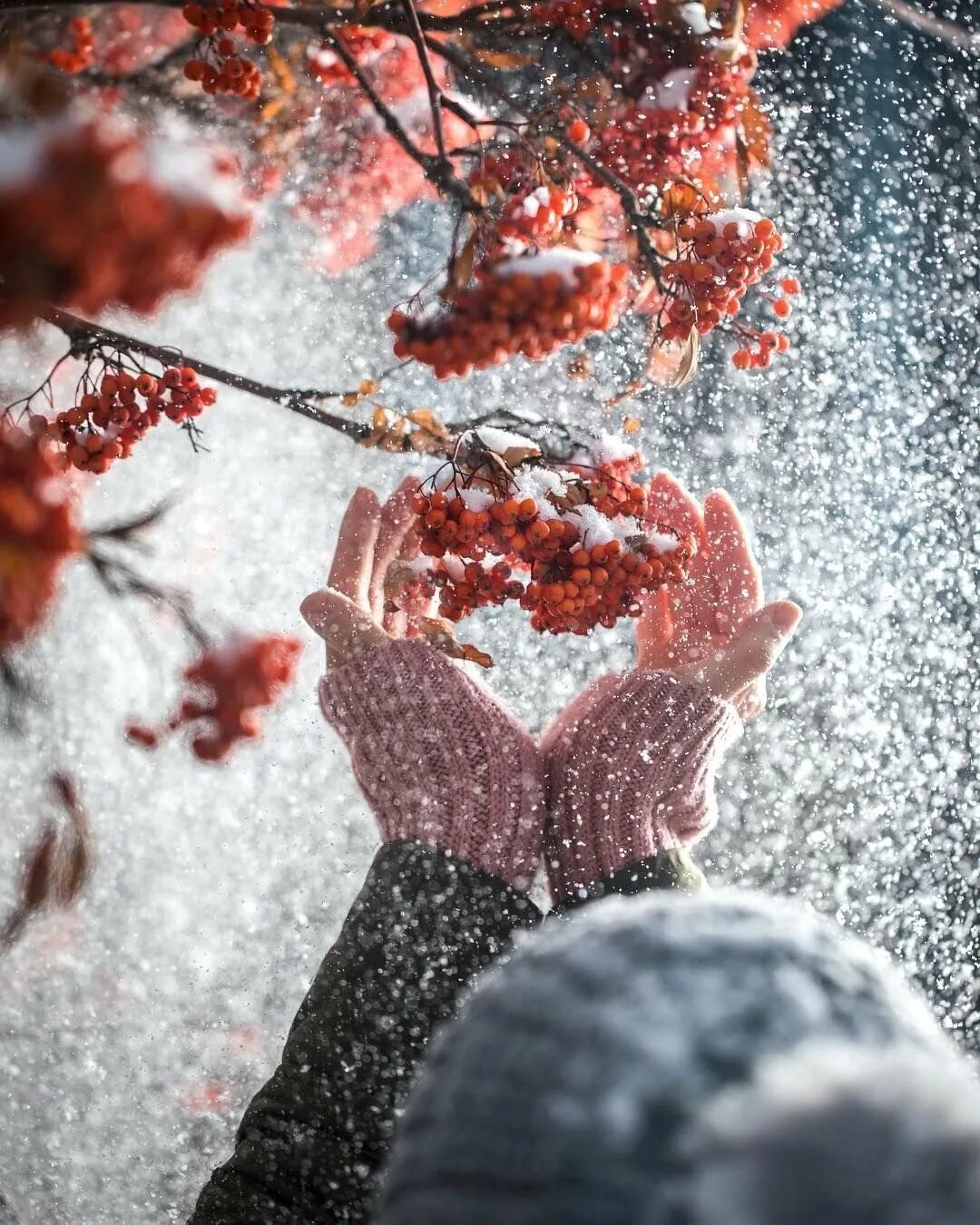 Люблю первый снег. Первый снег. Ноябрь снег. Снег осенью. Осень первый снег.