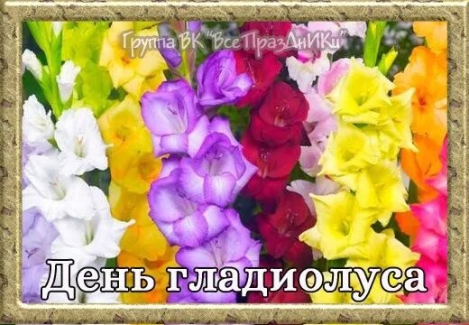 Открытки 25 августа