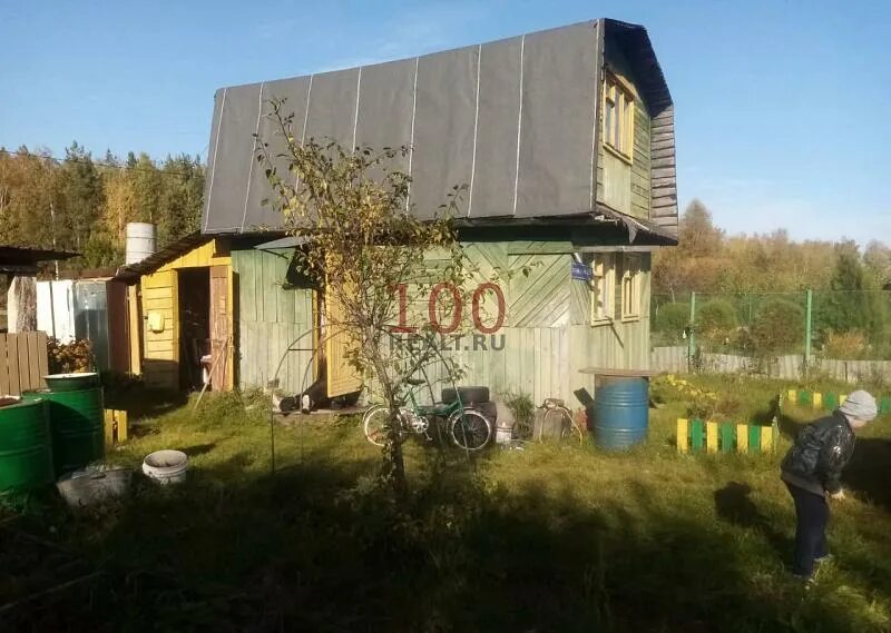 Снт березка 3. Садовое товарищество березка. Снт березка одинцовский район. Садоводческое некоммерческое товарищество берёзка, 62. Нижний новгород.