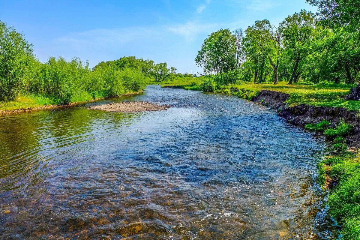 Покажи фото речки. Чистая река. Лопань (река). Чертовицк воронеж речка. Чистая река.