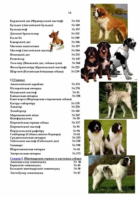 Рейтинг собак ркф по породам. Классификации пород собак международной кинологической федерации. классификация пород собак по fci. породы собак по группам фци. классификация пород международной кинологической федерации (fci).