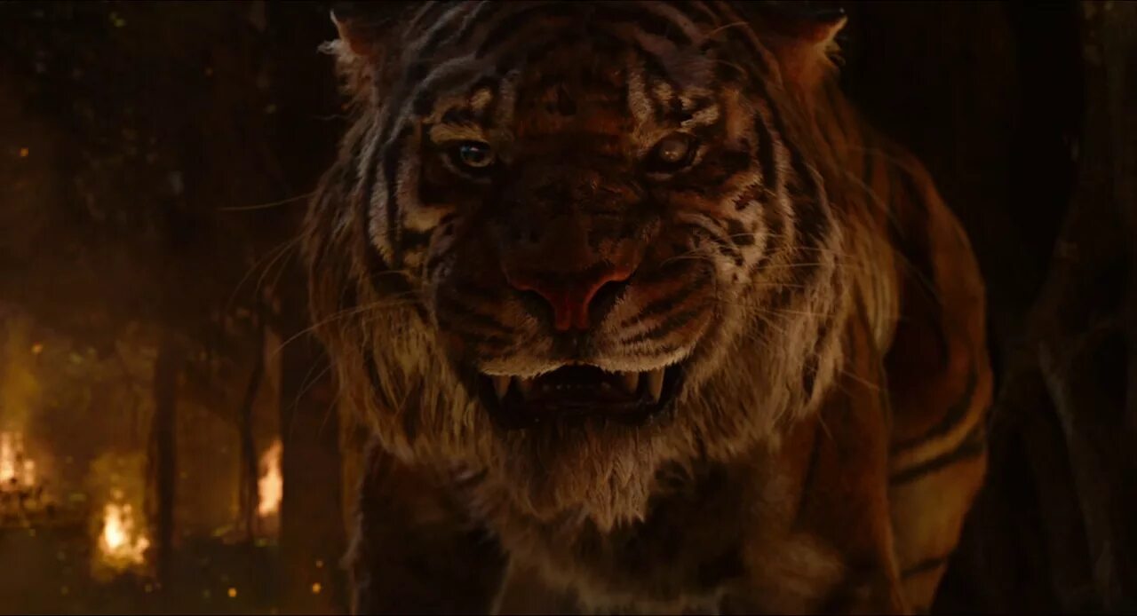 Последнее видео о львятах осаде и шерхане. Шерхан фильм. Шерхан из маугли 2016. Король лев саблезубый тигр. Шерхан и шрам.